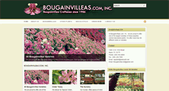 Desktop Screenshot of bougainvilleas.us